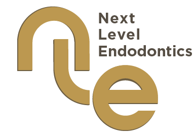 Next Level Endodontics
